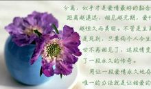 人生感悟的文章：人生唯一不能缺的是什么？