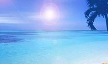 描写海的优美句子