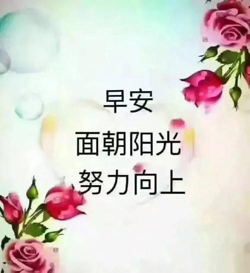 鼓励成功的声明