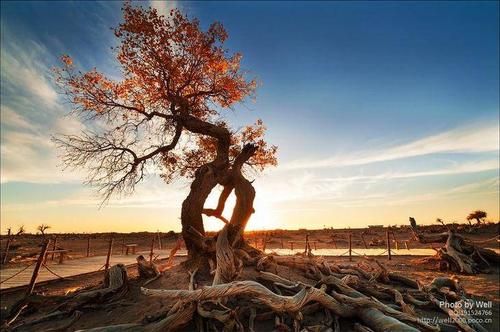 人必须大气！很多钱