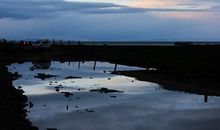 李碧华：湟鱼的眼睛