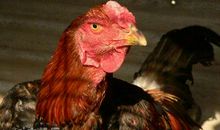 让人顿悟的25段话