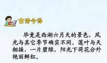 晓出净慈寺送林子方的意思