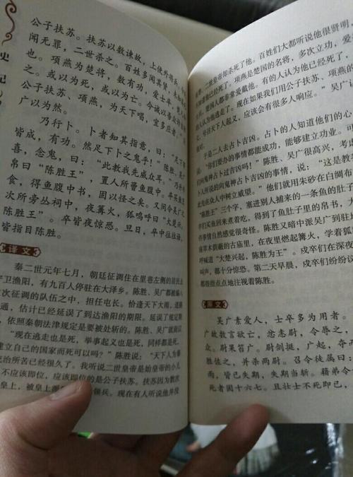 阅读历史记录后100字