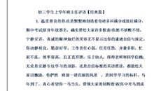 2016高中班主任评语