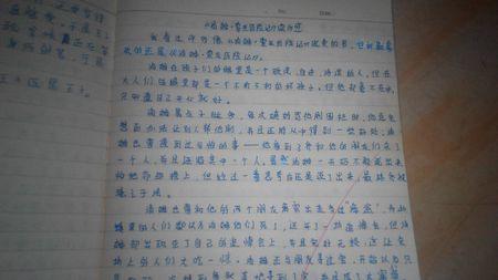 汤姆·索亚历险记500字