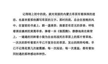 狼图腾读后感100字