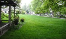 苏雪林：彭贝依古城的凭吊