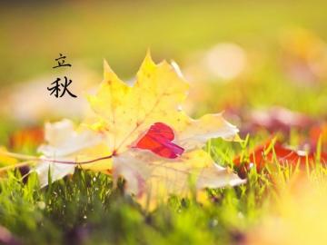 关于养生的优美句子