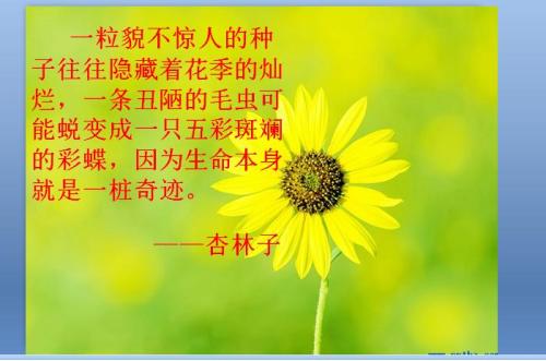 杏林子：“和谐生活”