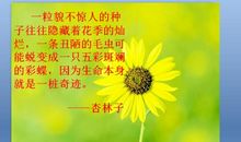 杏林子：《和谐人生》