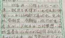 故乡读后感600字