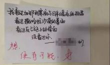 写情书的优美句子