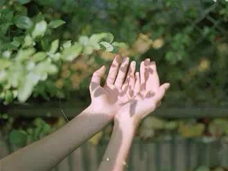 经典语录：即将成熟，还会变老，时间实在没用