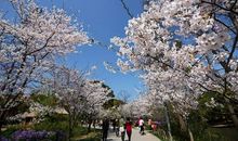 形容春天天气语句