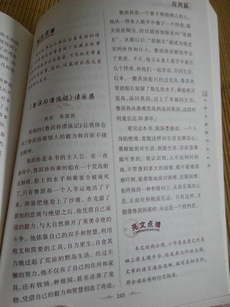 鲁滨逊漂流记英文读后感