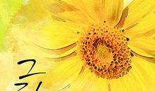 赞美向日葵的优美句子