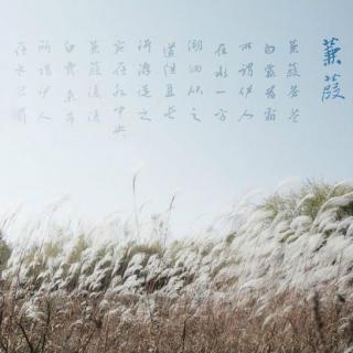 鉴真：浮尘野马