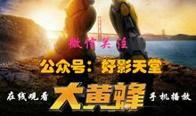 电影《大黄蜂》观后感