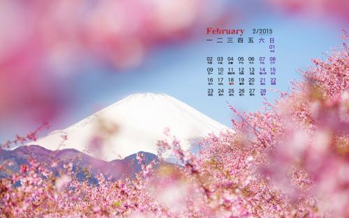 2015年更美丽的词