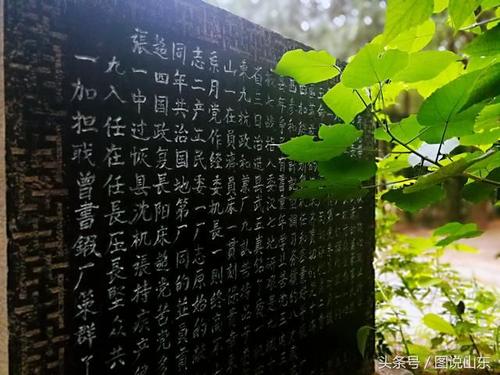 王同照：小雨山游