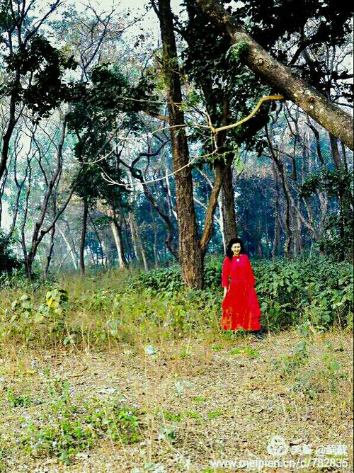 王国维：流连忘返