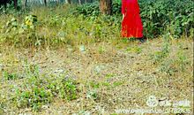 汪国真：剪不断的情愫