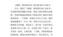 家读后感500字