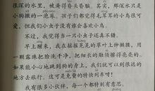 描写昆虫的句子