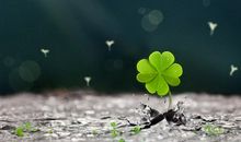 明明很伤心却表现得很开心的句子 形容一个人表面很开心心里难过的句子