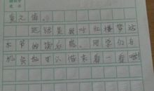 红楼梦读后感100字