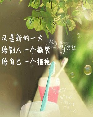 早上的文字问候