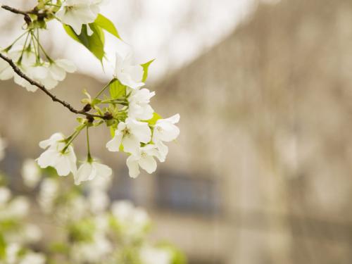 使老人快乐的句子使老人快乐的单词