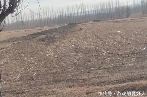 除了懒惰的人，没有永远的穷人