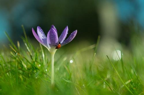 使老人快乐的句子使老人快乐的单词1