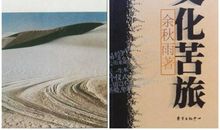 《文化苦旅》读后感