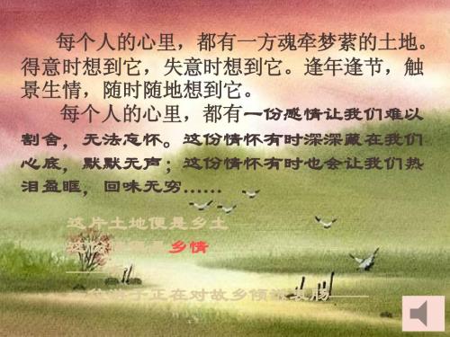 柯玲：乡村情结