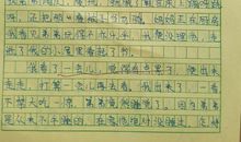 四年级作文：那一次我最帅