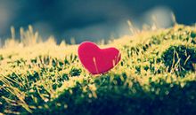 鞋子的人生哲学