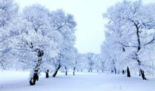 描写雪优美句子