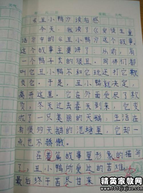 阅读后500字