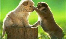 宽恕他人，喜爱自己