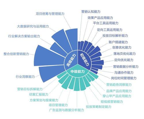 工作能力自我评估