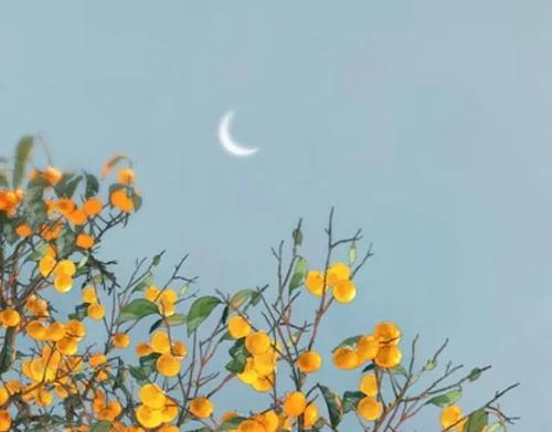 经典语录：我们在风景中长大，在他人眼中成长为风景