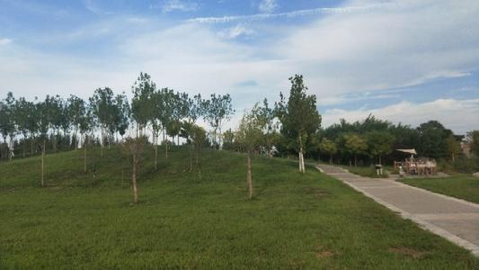 无数次失败后的成功