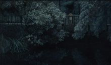 顾城：我相信歌声