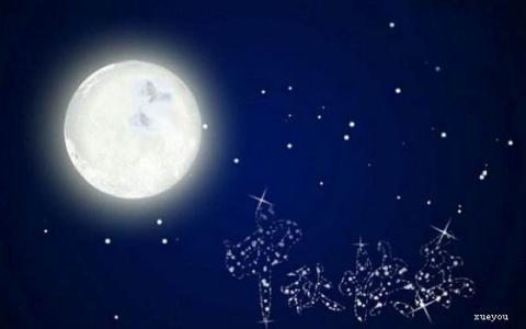 情人小姐一句话