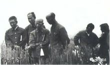 夏衍：甲子谈鼠