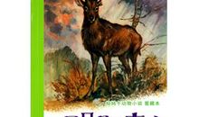 一只耳朵的大鹿读后感