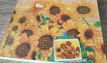 张悦然：黑猫不睡